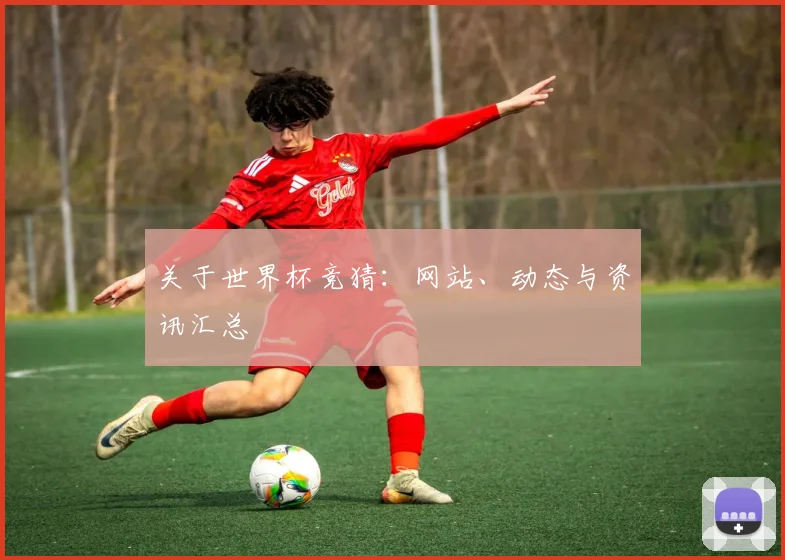 关于世界杯竞猜：网站、动态与资讯汇总